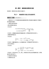 新高考生物一轮复习考点梳理讲义 第2单元　第3课时　细胞核的结构和功能（含解析）