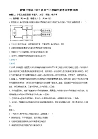 2024成都树德中学高二上学期期中生物试题含解析