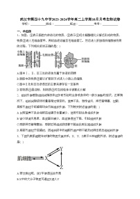 武汉市第四十九中学2023-2024学年高二上学期10月月考生物试卷(含答案)