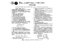 2024安徽省A10联盟高三上学期11月期中考试生物PDF版含答案