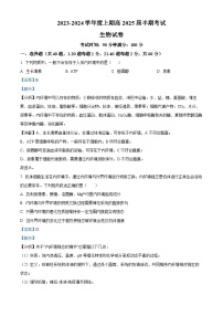 四川省成都市第七中学2023-2024学年高二上学期期中生物试题（Word版附解析）