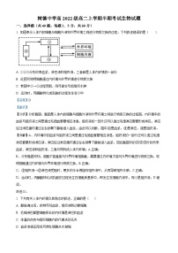 四川省成都市树德中学2023-2024学年高二上学期期中生物试题（Word版附解析）