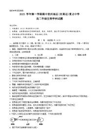 浙江省杭州市及周边重点中学2023-2024学年高二上学期期中联考生物试题（Word版附答案）