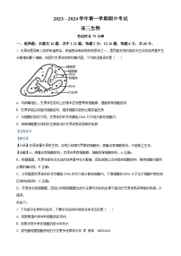 福建省厦门市湖滨中学2023-2024学年高三上学期期中生物试题（解析版）