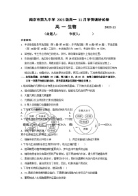 江苏省南京市第九中学2023-2024学年高一上学期期中生物试卷