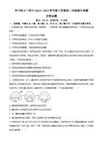 2024武汉华中师范大学第一附中高三上学期期中生物试题含解析