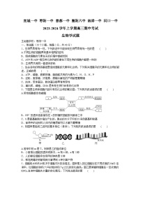 2024宜城一中等六校高三上学期期中联考生物试题含答案