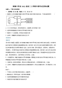 四川省成都市树德中学2023-2024学年高二上学期期中生物试题（Word版附解析）