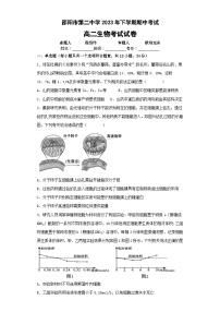 2024邵阳二中高二上学期期中考试生物试题含解析