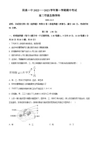 2023阳泉一中高二上学期期中生物试题含解析