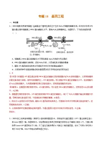 2023年高考生物真题与模拟试卷分项汇编专题18 基因工程（含解析）