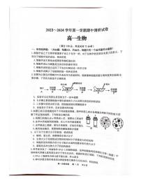 江苏宿迁市泗阳县2023-2024学年高一上学期期中生物学试卷