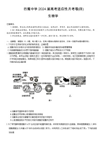 重庆市巴蜀中学2023-2024学年高三生物上学期适应性月考卷（四）（Word版附答案）