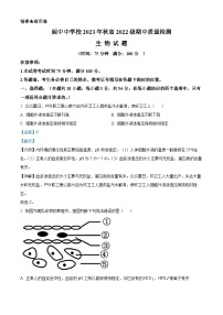 四川省南充市阆中中学2023-2024学年高二生物上学期期中试题（Word版附解析）