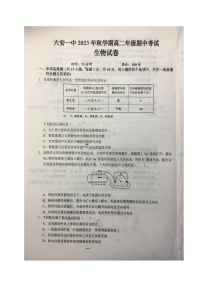 安徽省六安第一中学2023-2024学年高二上学期期中考试生物试题