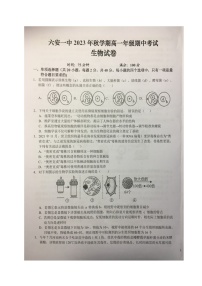 安徽省六安第一中学2023-2024学年高一上学期期中考试生物试题