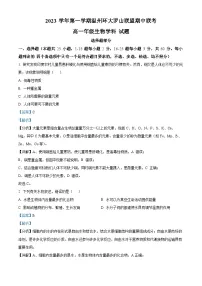 浙江省温州市环大罗山联盟2023-2024学年高一生物上学期期中联考试题（Word版附解析）