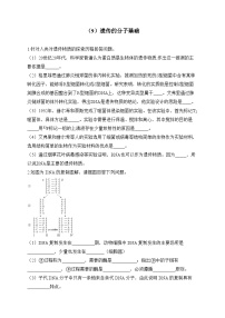 2024届高考生物一轮复习大题专练【配套新教材】（9）遗传的分子基础