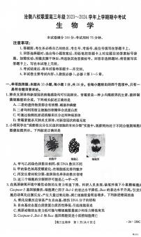 2024河北省沧衡八校联盟高三上学期11月期中考试生物PDF版含答案