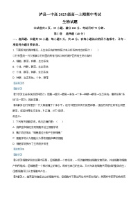 四川省泸州市泸县第一中学2023-2024学年高一上学期期中生物试题（Word版附解析）