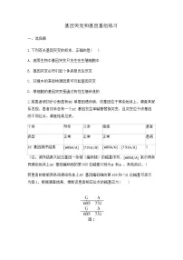 2024届高中生物一轮复习练习：基因突变和基因重组