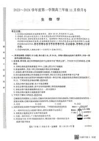 2024沧州三县联考高三上学期11月月考试题生物PDF版含答案