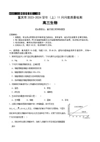 2024重庆市缙云教育联盟高三上学期11月月考试题生物含答案