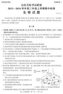 2024山东省名校考试联盟高二上学期11月期中生物试题PDF版含答案