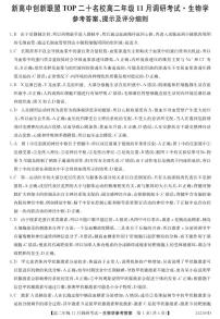 2024河南省新高中创新联盟TOP二十名校高二上学期11月调研考试生物PDF版含答案