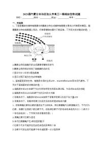 2023届内蒙古自治区包头市高三一模理综生物试题(含答案)