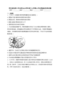 河北省张家口市名校2024学年高三上学期11月阶段测试生物试卷(含答案)