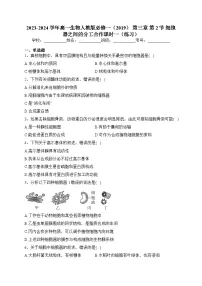 高中生物人教版 (2019)必修1《分子与细胞》第2节 细胞器之间的分工合作课时训练
