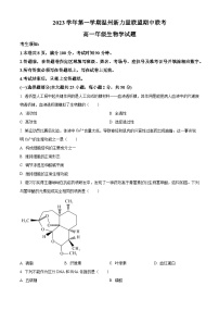 浙江省温州市新力量联盟2023-2024学年高一生物上学期期中联考试题（Word版附解析）