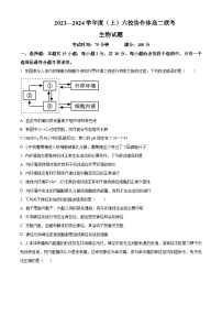 辽宁省六校协作体2023-2024学年高二生物上学期期中联考试题（Word版附解析）