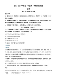 广东省华南师范大学附中2023-2024学年高一上学期期中生物试题（解析版）