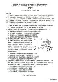 2024广西三新学术联盟高三上学期11月联考试题生物PDF版无答案