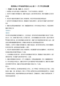 四川省绵阳南山中学实验学校2023-2024学年高二上学期11月期中生物试题（Word版附解析）