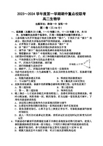 天津市五区重点校联考2023-2024学年高二上学期期中考试生物试题（Word版附答案）