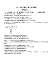 2024常州金坛区高二上学期期中生物试题无答案