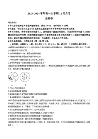 2024山西省知名高中高一上学期11月期中考试生物含答案