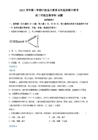 浙江省宁波市金兰教育合作组织2023-2024学年高二上学期期中生物试题（Word版附解析）