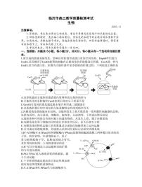 山东省临沂市2024届高三11月教学质量检测生物试卷+答案