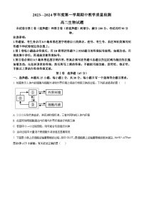 2024聊城高二上学期11月期中考试生物含解析