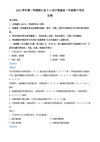 浙江省91高中联盟2023-2024学年高一上学期期中联考生物试题（Word版附解析）