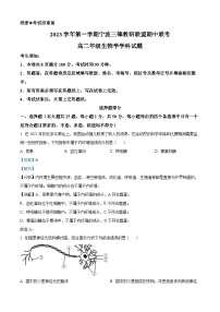 浙江省宁波市三锋教研联盟2023-2024学年高二上学期期中联考生物试题（Word版附解析）