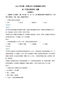 浙江省台州市八校联盟2023-2024学年高二上学期期中联考生物试题（Word版附解析）