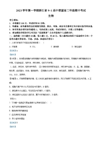 浙江省91高中联盟2023-2024学年高二上学期期中生物试题（Word版附解析）