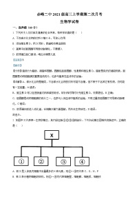 内蒙古赤峰市第二中学2023-2024学年高三上学期10月月考生物试题（Word版附解析）