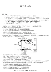 2024安徽省九师联盟高三上学期11月质量检测生物PDF版含答案