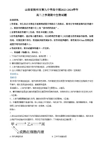 2024朔州怀仁九中高中部高二上学期11月期中生物试题含解析